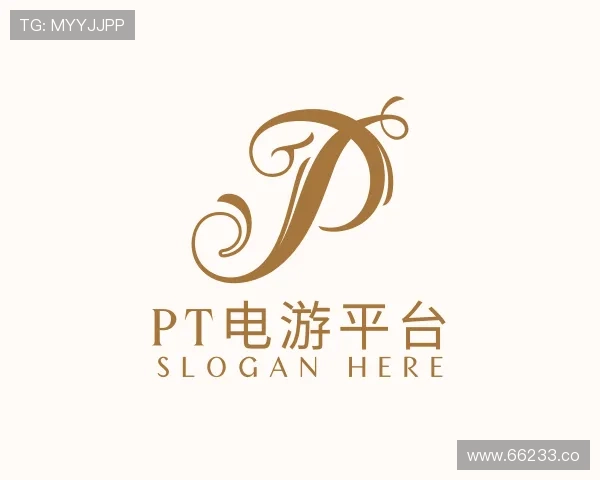 概述pt电游平台